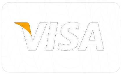 711bet-payment007 visa