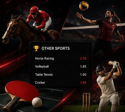 Other Sports